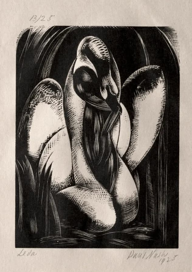 Leda