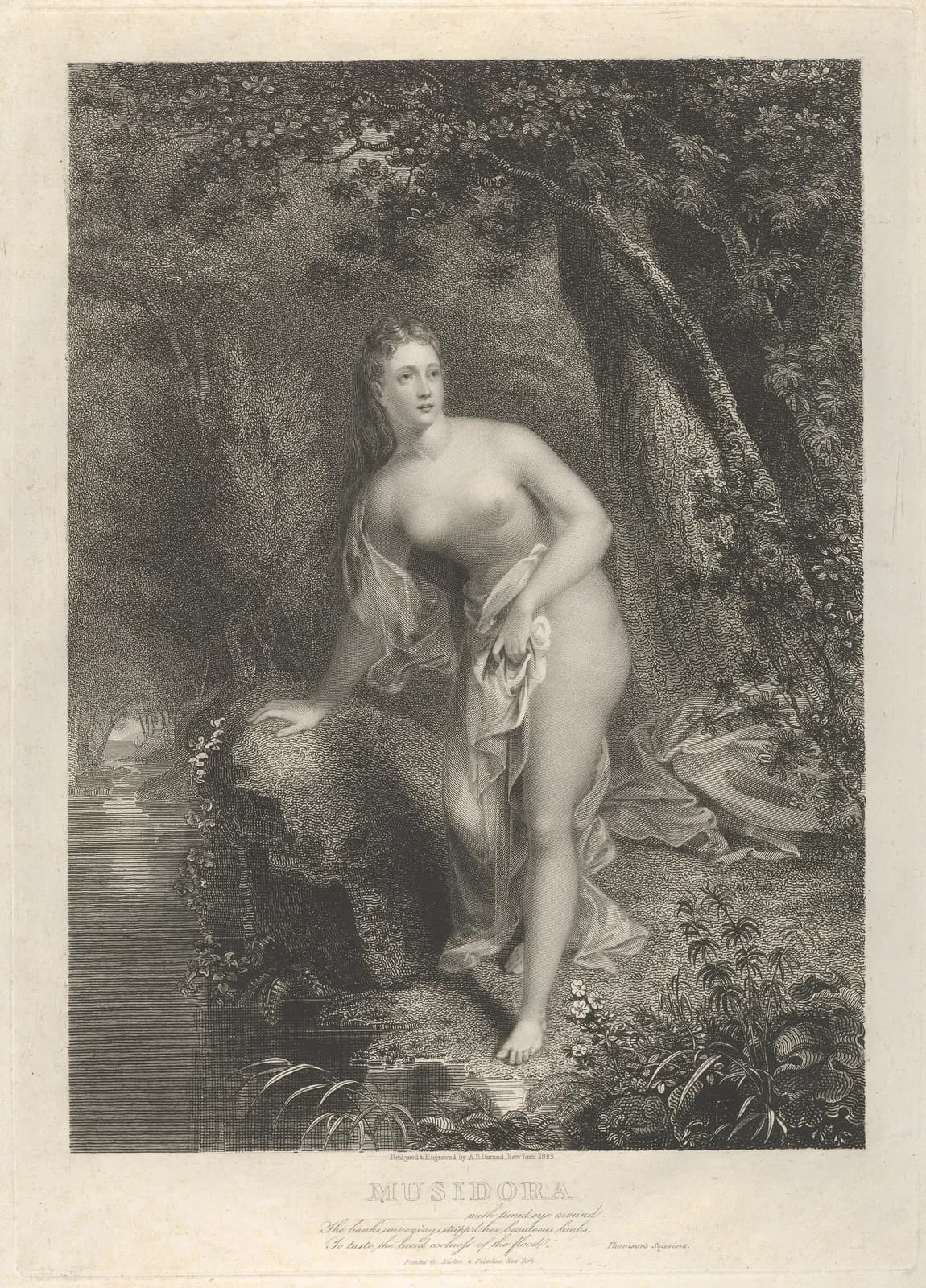 Musidora
