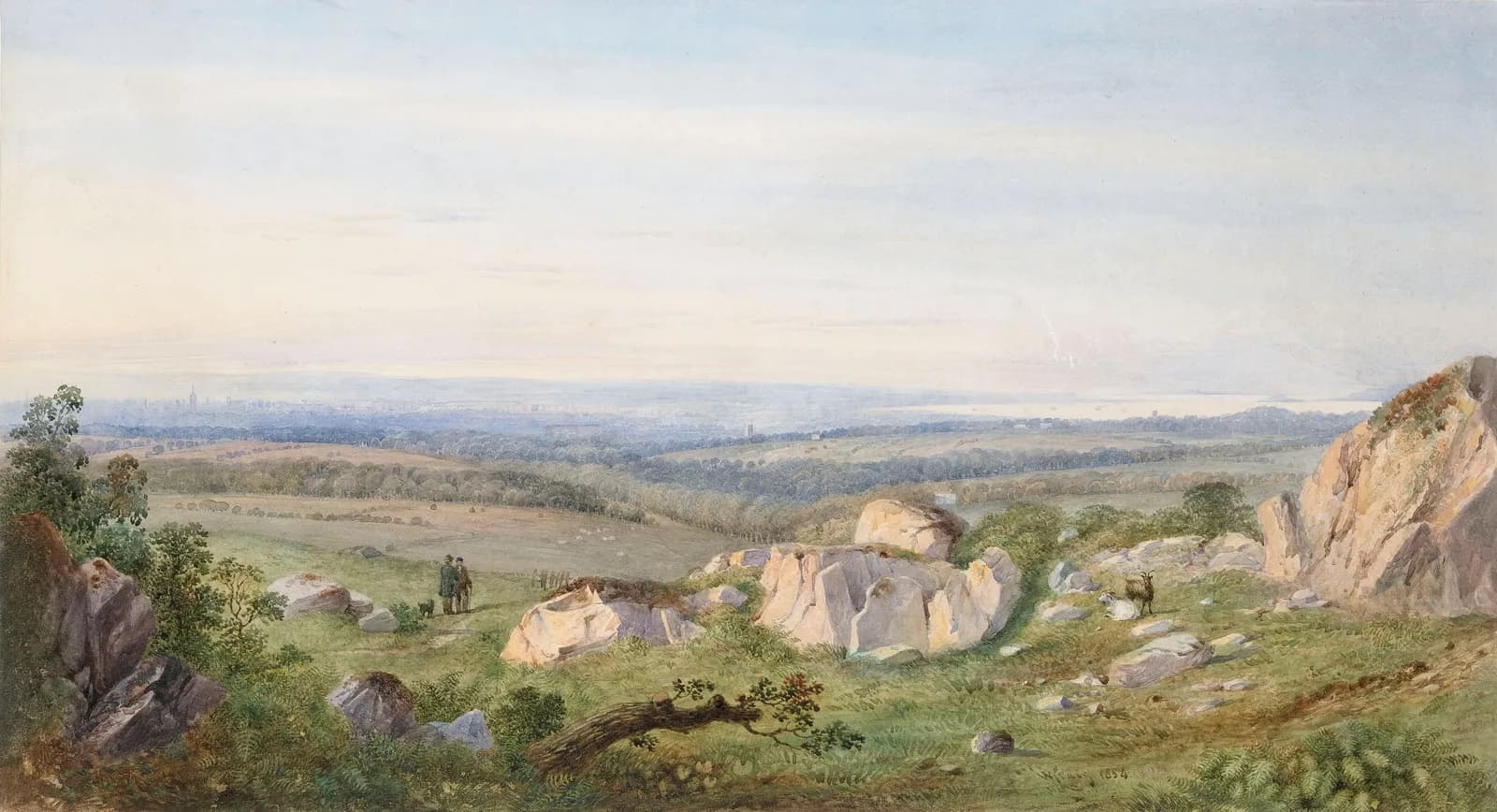 Dublin from Three Rock Mountain, County Dublin