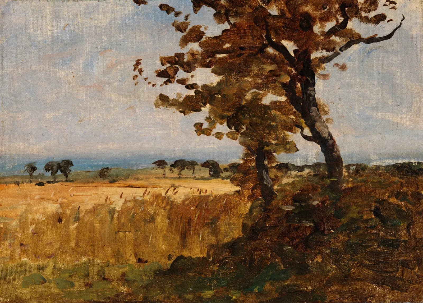 Wheatfield by the Sea