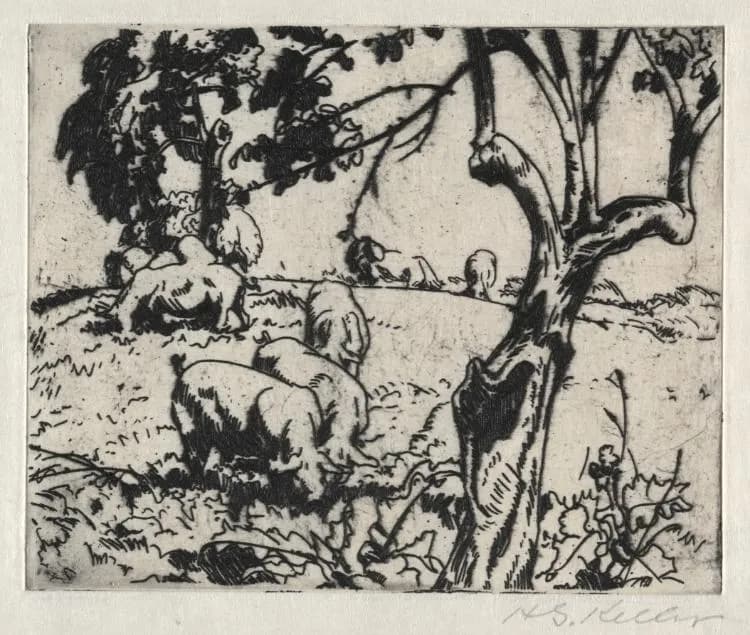 Cultural archive image of “Pigs in Orchard”, catalogued as America, Ohio, Cleveland, dating to c. 1916.