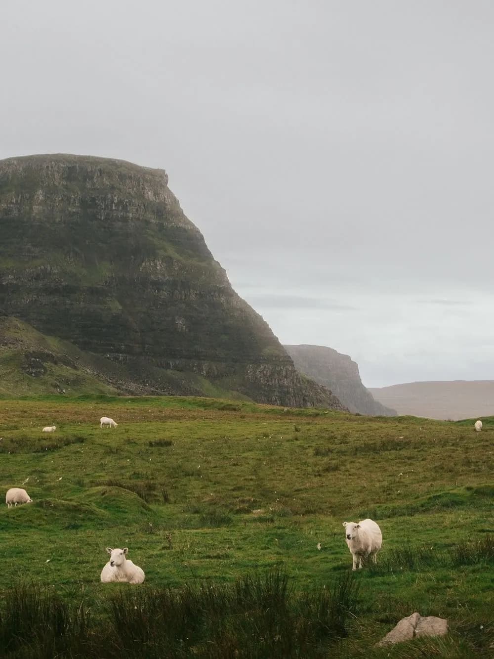 Cultural archive image of “Scottish Gaelic 🏴, or Gàidhlig, is a Goidelic Celtic language brought to S…”, associated with Outer Hebrides.