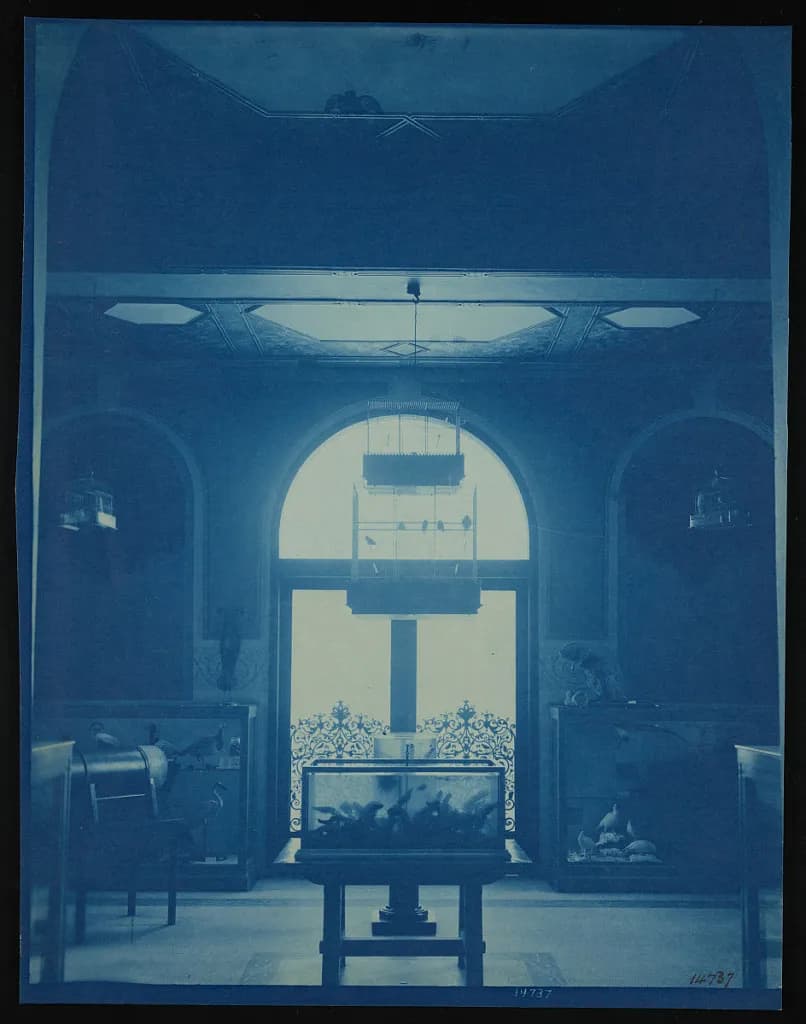 Children's Room, Smithsonian Institution Building, or Castle