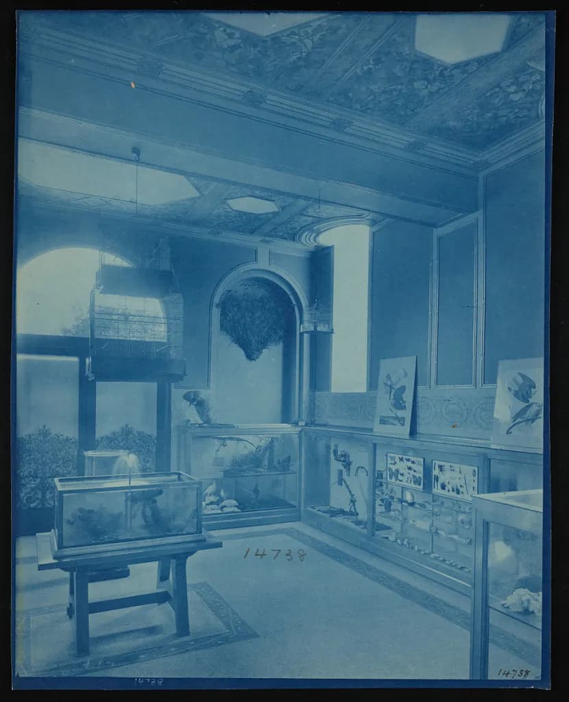 Children's Room, Smithsonian Institution Building, or Castle