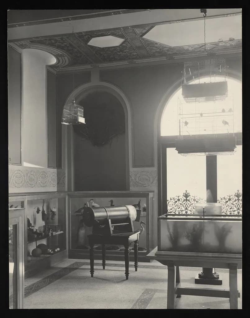 Children's Room, Smithsonian Institution Building, or Castle