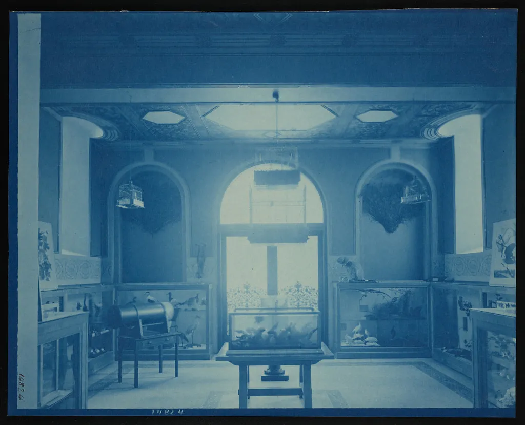 Children's Room, Smithsonian Institution Building, or Castle