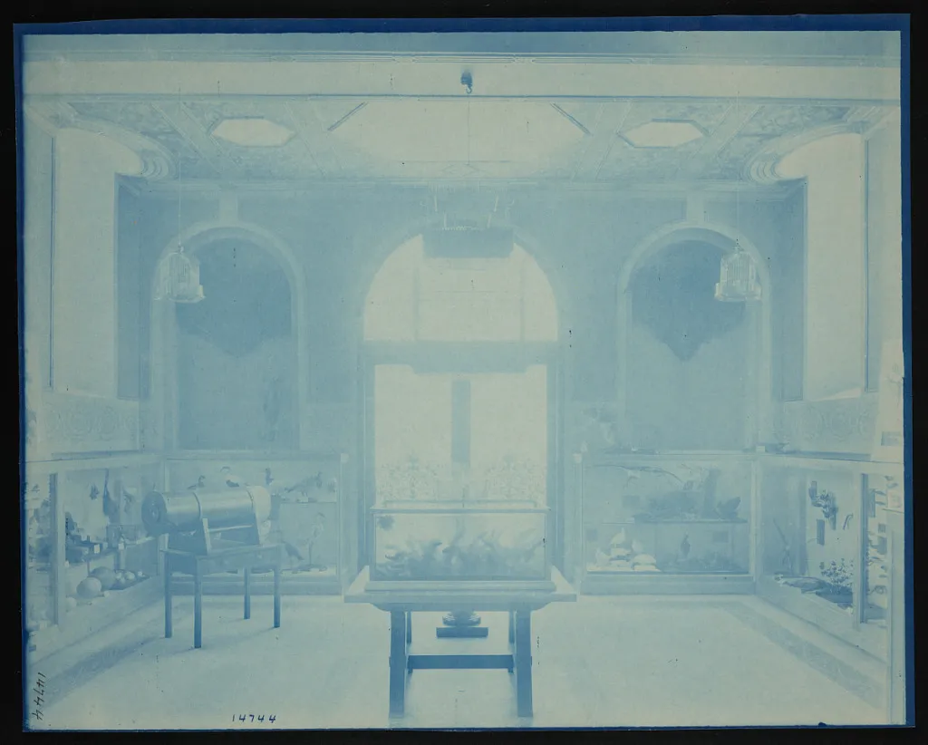 Children's Room, Smithsonian Institution Building, or Castle