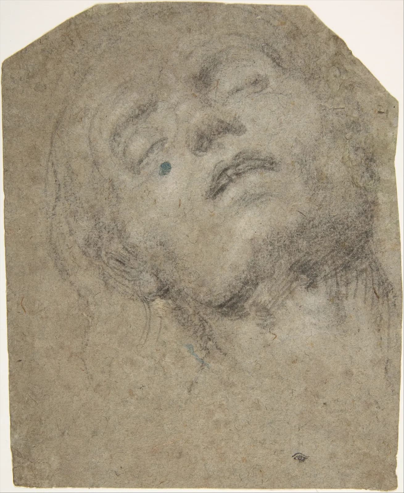 Cultural archive image of “Study of a Head”, catalogued as Drawings, dating to ca. 1508–18. Medium: Black chalk on blue paper, highlighted with white.