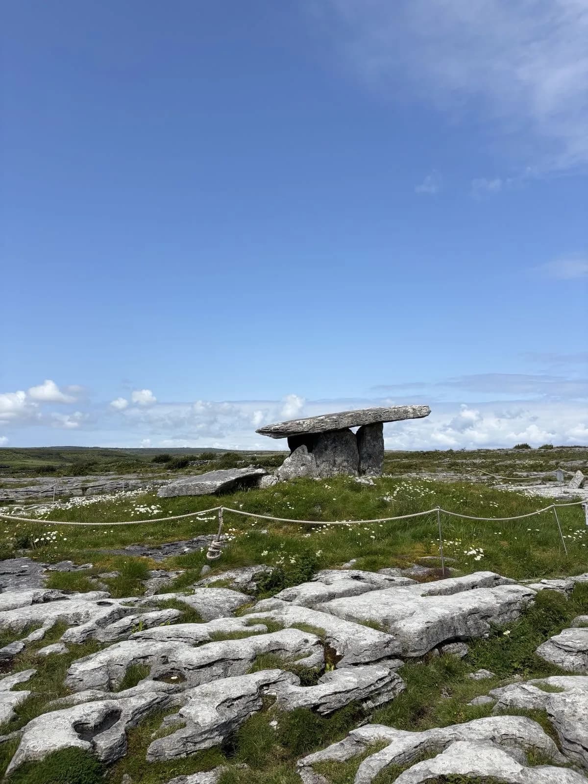 Cultural archive image of “The Burren is 530 square kilometres of bare limestone in north Clare — the name comes f…”, associated with The Burren.