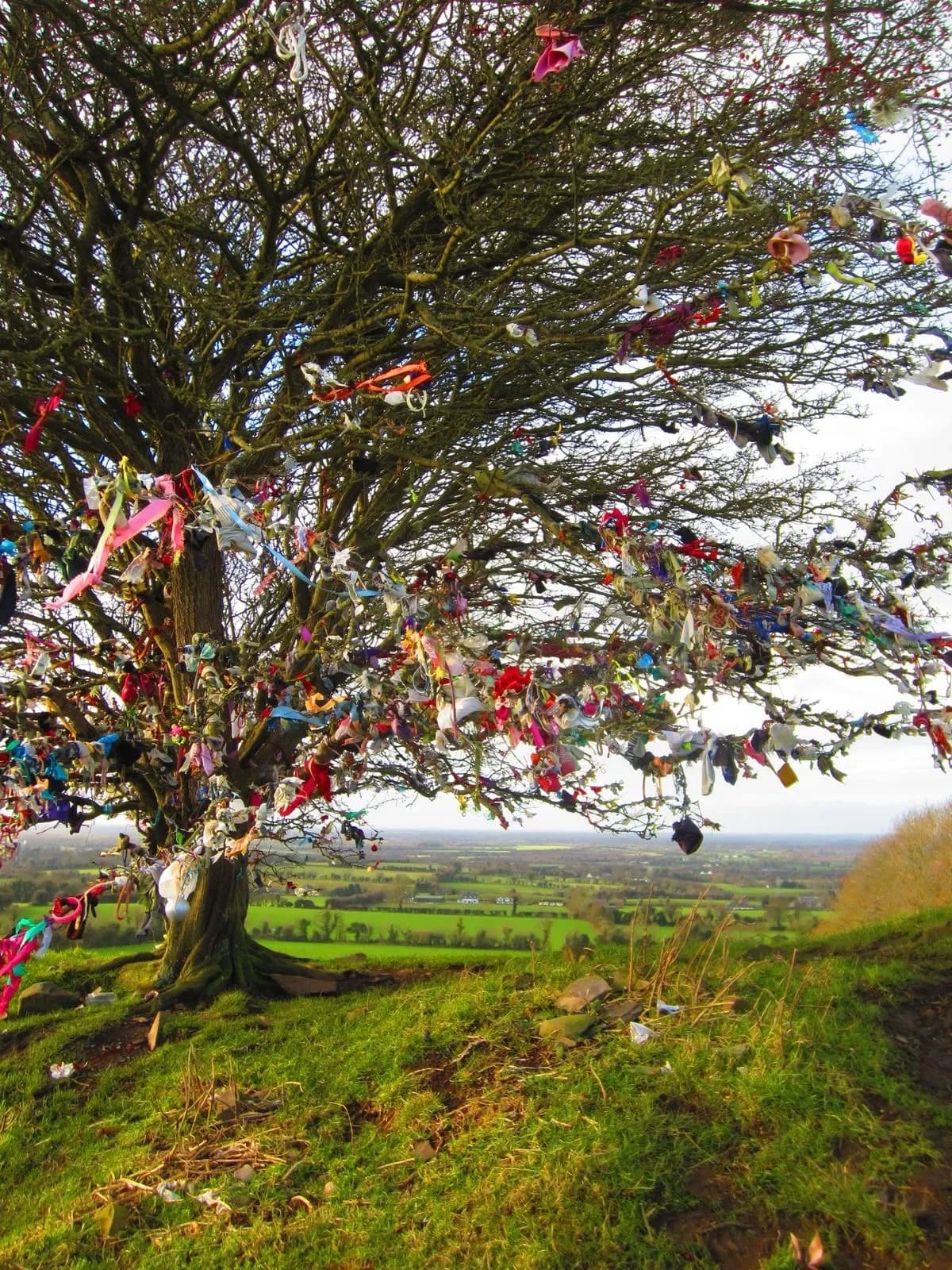 Cultural archive image of “The Hill of Tara is a low grassy ridge in County Meath that was the ceremonial seat of…”, associated with Hill of Tara.