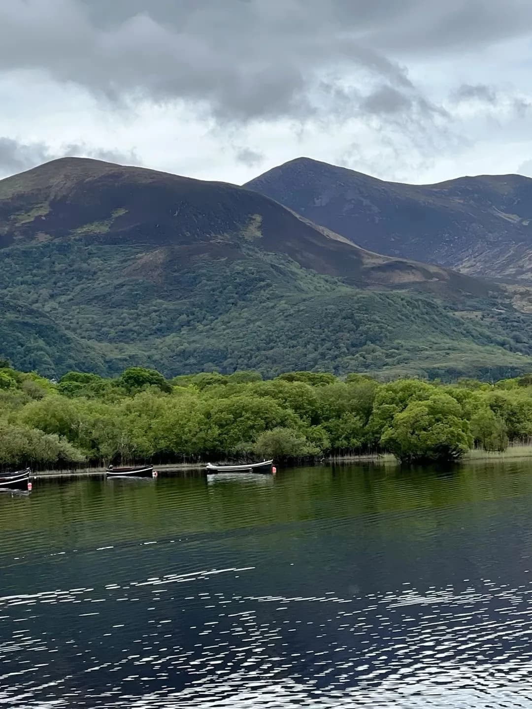 Cultural archive image of “The Lakes of Killarney are three interconnected lakes (Lough Leane, Muckross Lake and t…”, associated with Killarney.